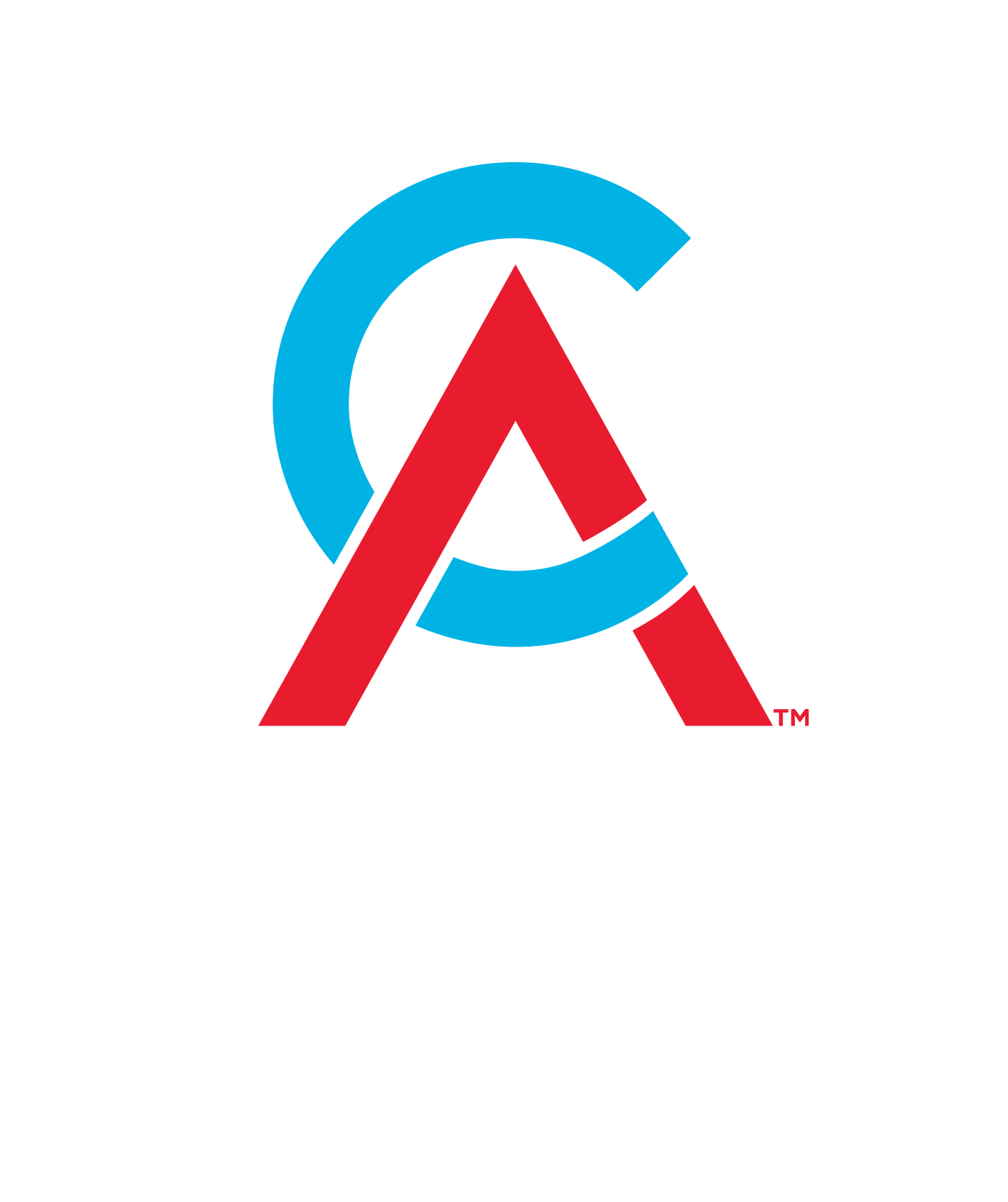 Registered Practice Entity Member — Chartered Accountants Australia and New Zealand